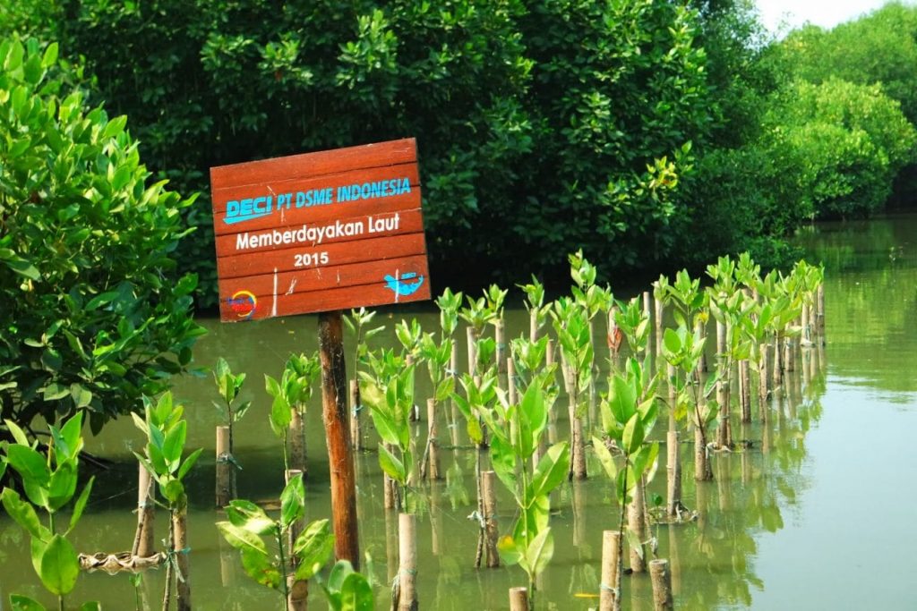Hutan mangrove jakarta - jakartatraveller.com - wisata jakarta