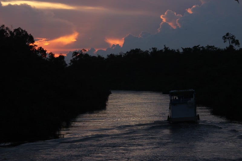 Blocked Sunset in Sekonyer River
