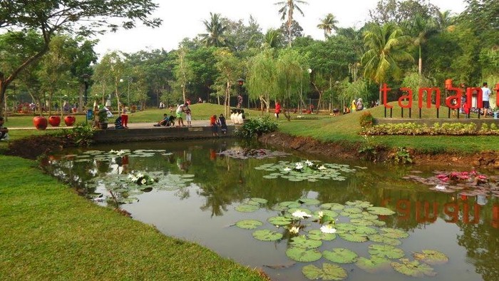 Taman Tabebuya