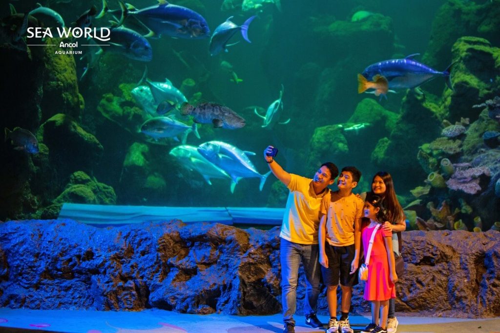 Sea World Ancol - Liburan Lebaran Seru di Jakarta: 9 Tempat Wisata Air yang Harus Dikunjungi - jakartatraveller.com