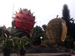 Kebun durian warso / warso farm - jakartatraveller